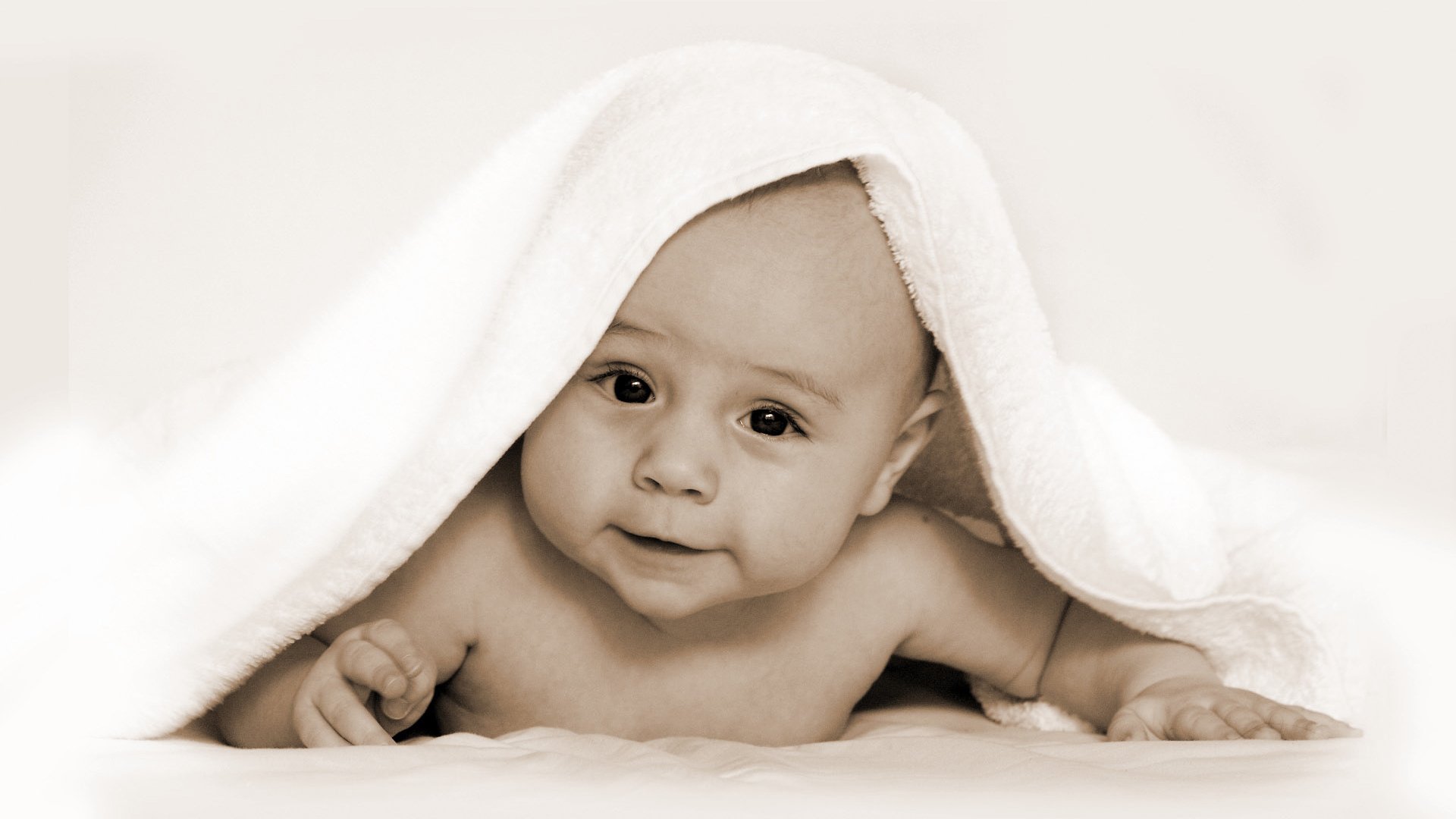 梅州正规借卵温一院试管婴儿成功率